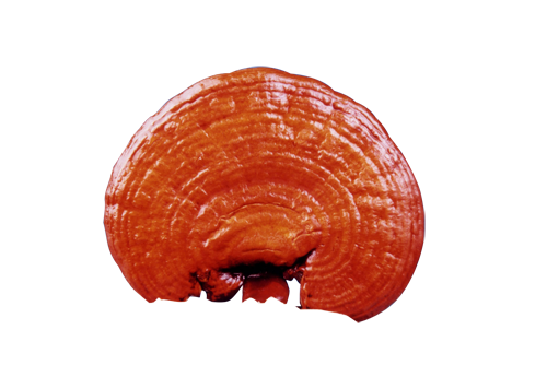Kimshen Gano