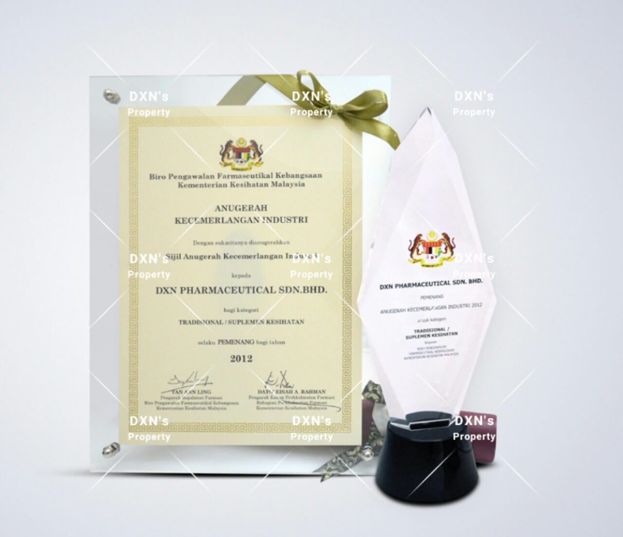 Premio a la Excelencia industria
