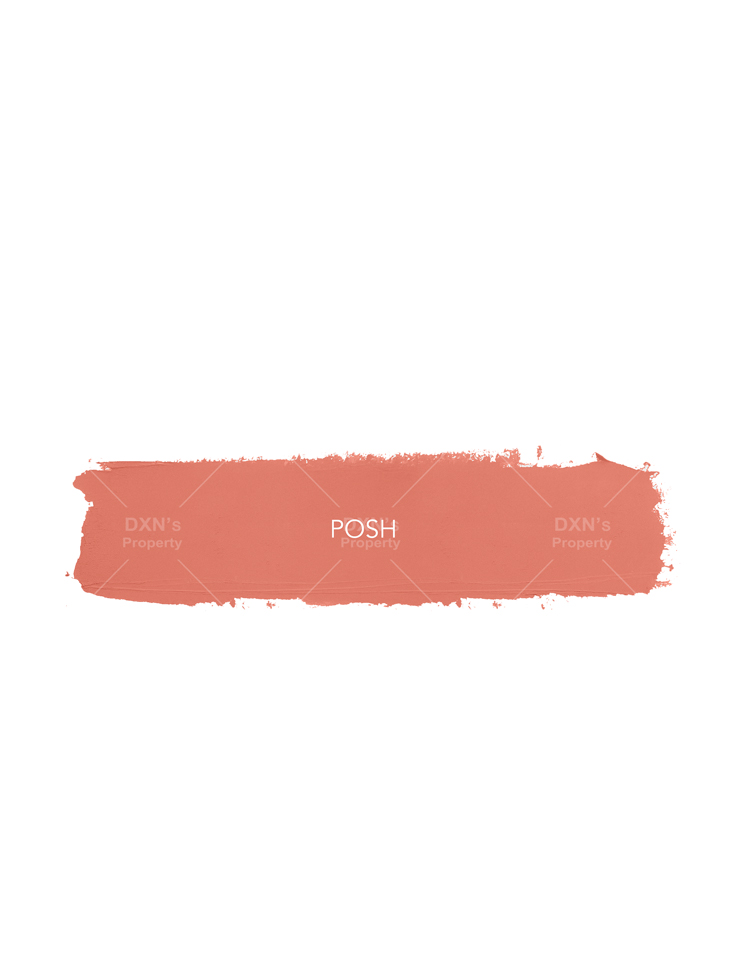 DXN Evelyn Sheer Velvet Matte Lipstick